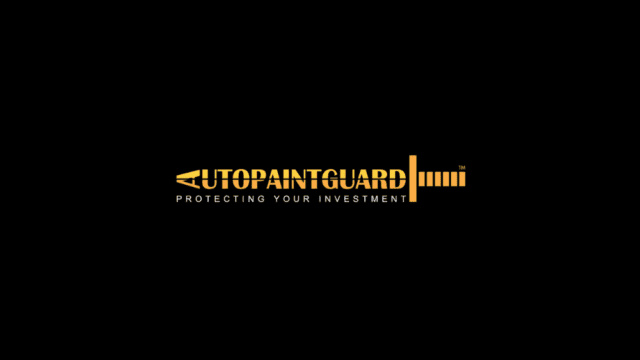 Auto Paint Guard
