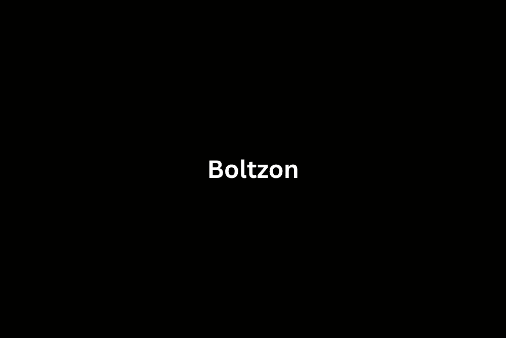 Boltzon