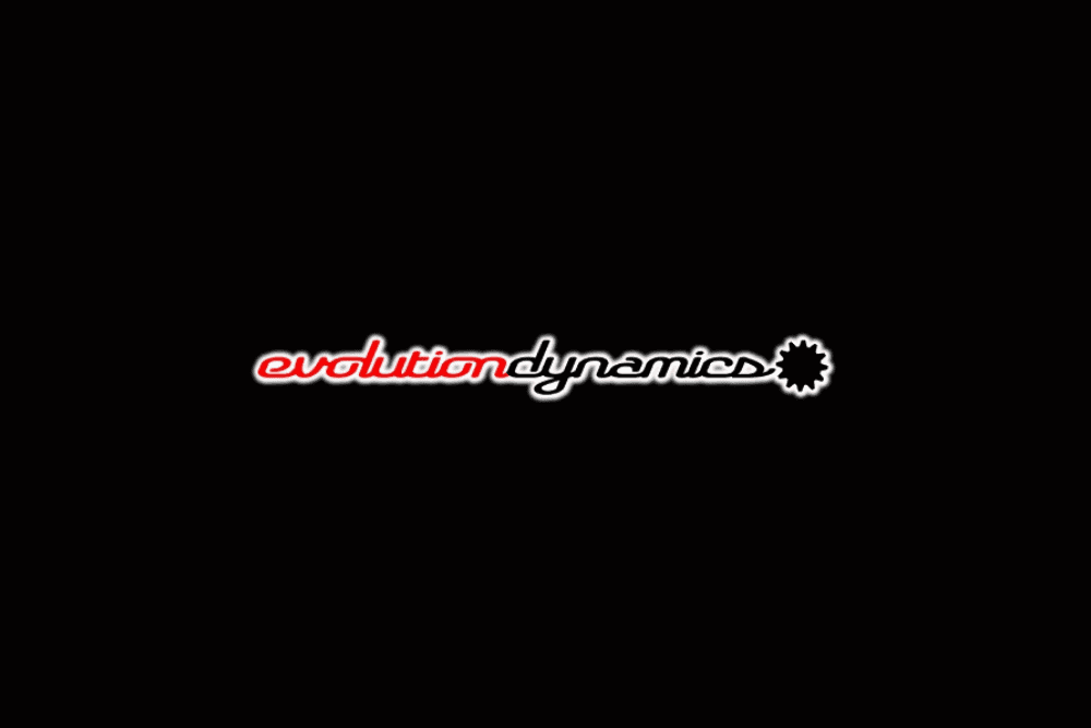 Evolution Dynamics